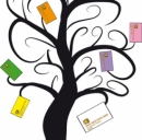 Le migliori carte-conto © Ulisse Dreamstime . com