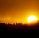 Pannelli fotovoltaici