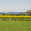 Energia verde
