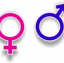 Web, donne e uomini sono diversi