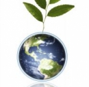 Green economy cresce anche in Italia