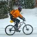 Assicurazioni: ecco le polizze per biciclette e ciclisti