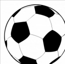 Padova - Brescia anticipo 16 novembre 2013, tutte le info.