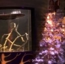 L'anguilla mentre alimenta l'albero di Natale