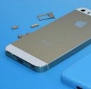 Nell'immagine un modello di iPhone