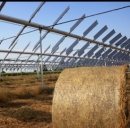 Installazione Agrovoltaica