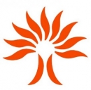 Enel e la nuova conciliazione online