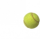 Roland Garros 2013, date e orari tv, gli italiani in gara