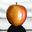 Rumors iPhone 6, fotocamera, display e data di uscita presunta