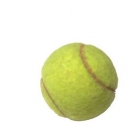 Roland Garros 2013, risultati, orari tv e pronostici