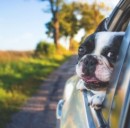 Documenti obbligatori in auto