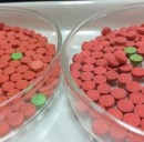 Prestiti ad amici e droga, novità dalla Cassazione