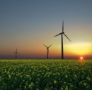 Amazon sceglie l'energia rinnovabile
