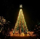 Evitare le truffe a Natale