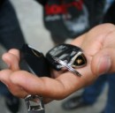 Assicurazioni auto gratis per un anno