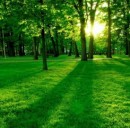 Classifica delle migliori app green