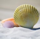 Prestiti personali per le vacanze