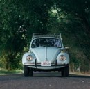 Verificare il Pagamento Bollo Auto