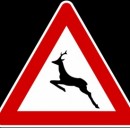 Cartello attraversamento animali selvatici