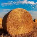 Finanziamenti agricoltura 2017