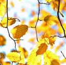 Le 3 migliori offerte fibra ottica e telefono di ottobre 2018